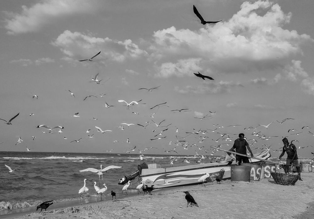 Photograph by Pakalon Janakan