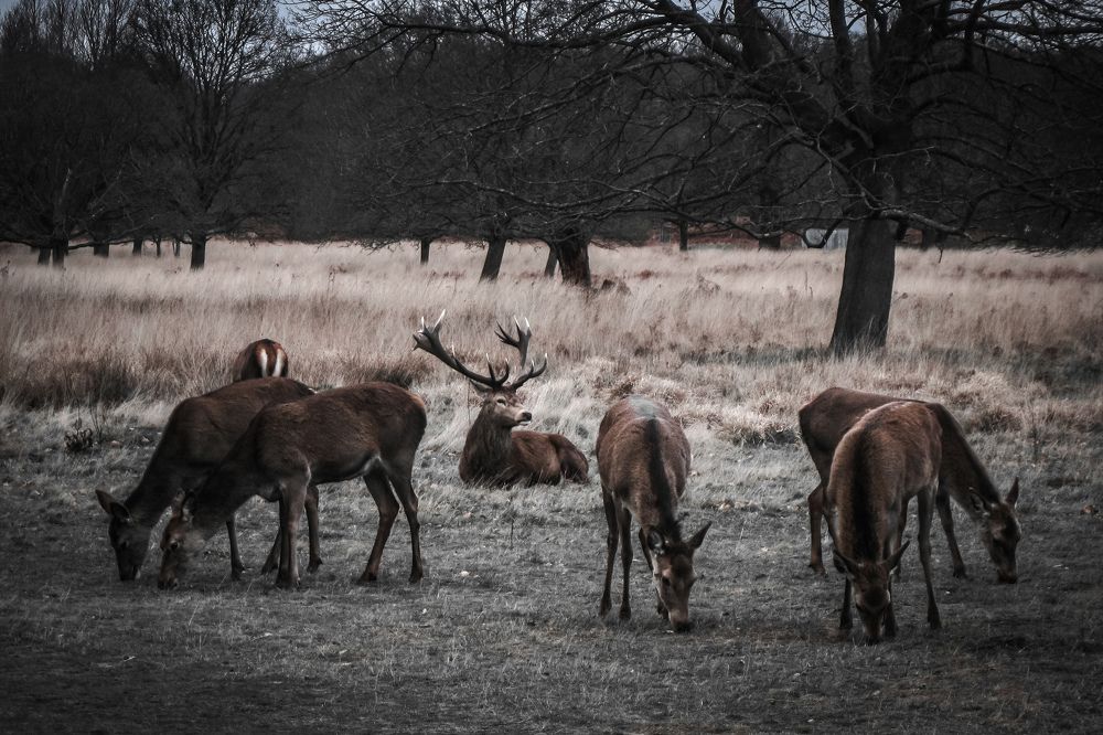 Photograph by Sergejs Barkans