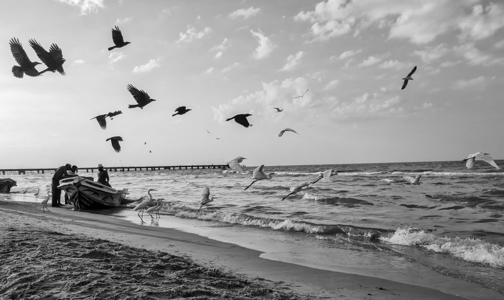 Photograph by Pakalon Janakan