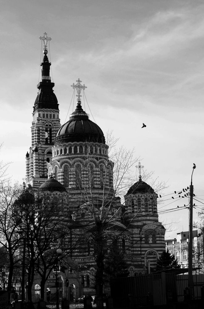 Photograph by Ирина Никитина