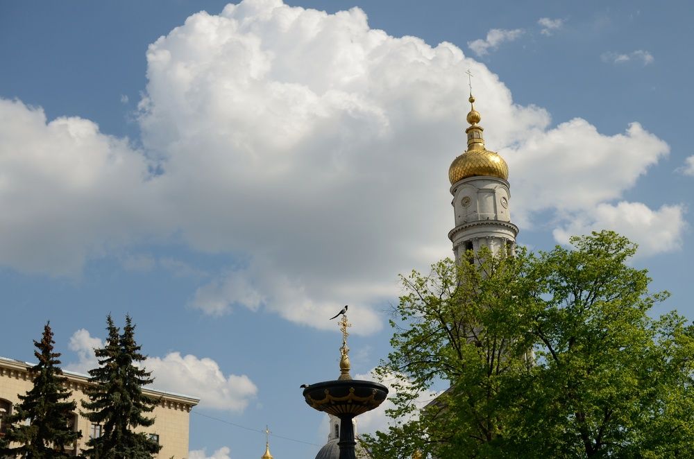 Photograph by Ирина Никитина