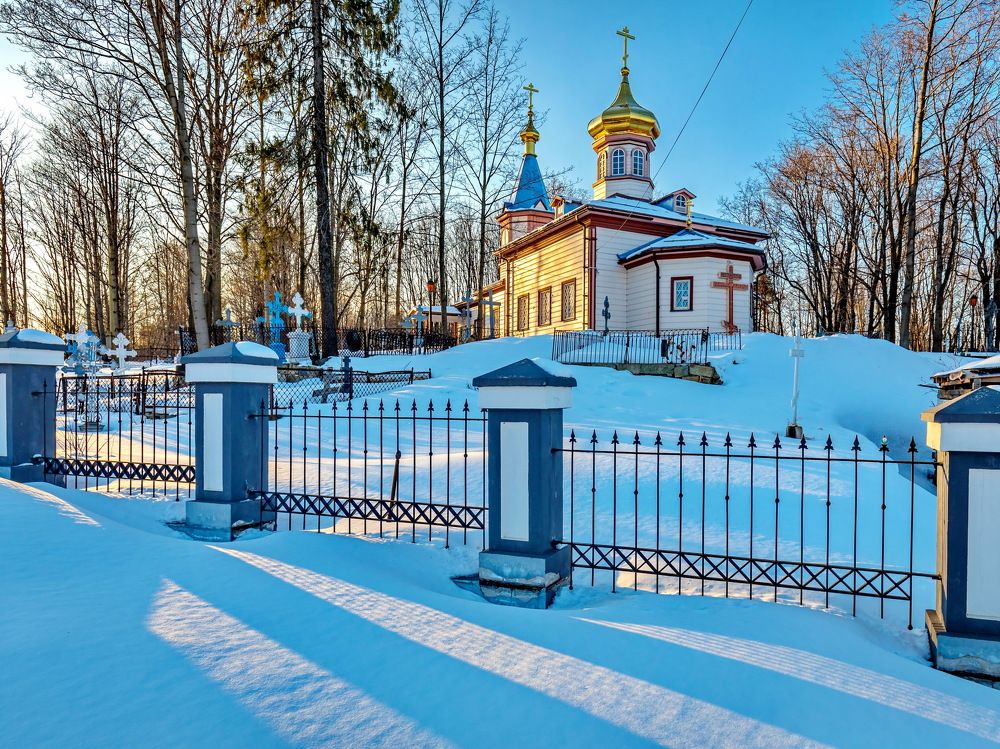 Фотография автора Альберт Мансуров