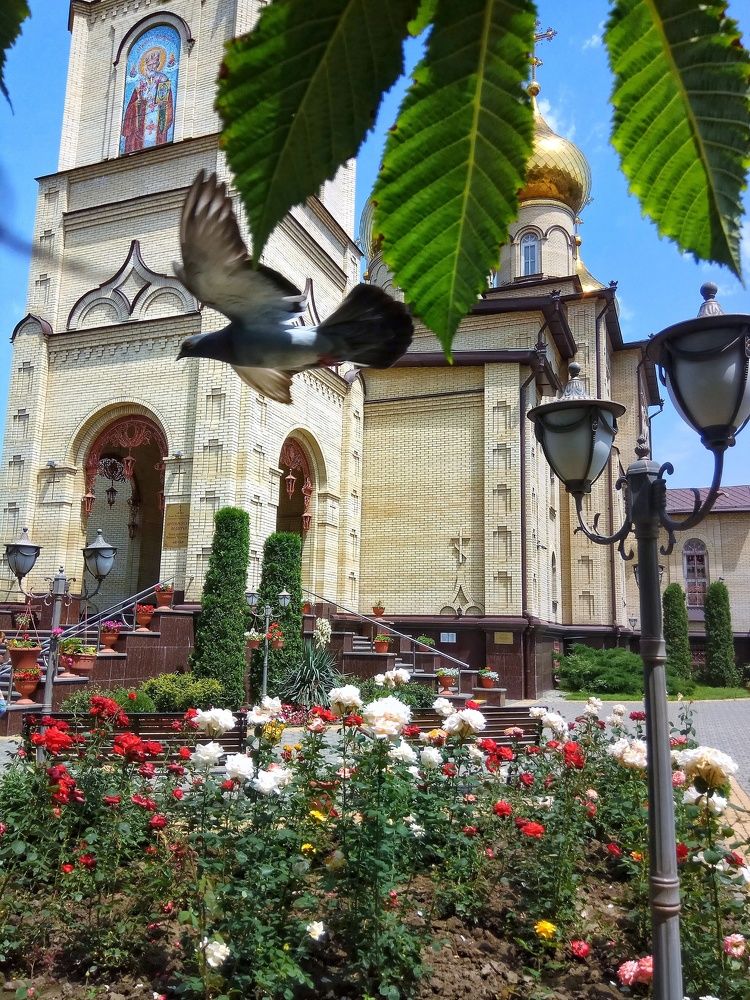 Photograph by Алла Холодова