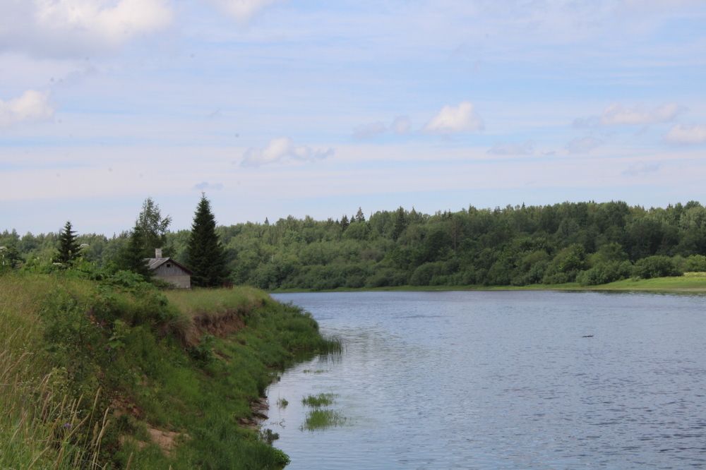 Домик у реки.