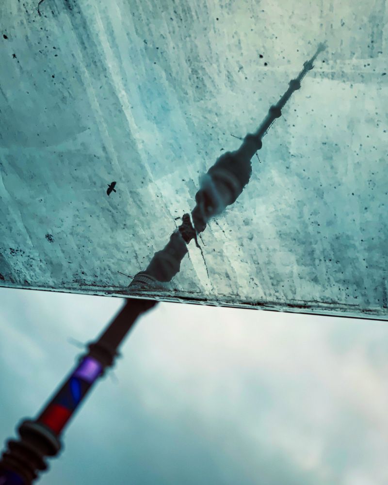 Photograph by Masha Morozova