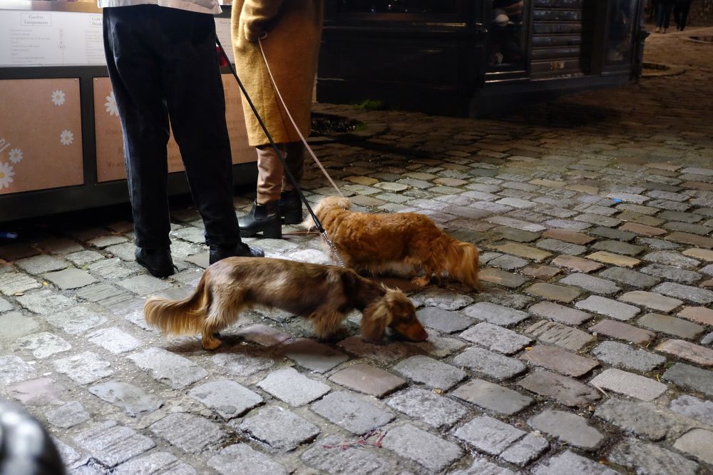 Photograph by Анна Внук