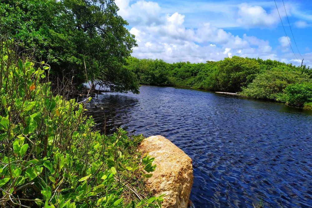 Photograph by Victor Manuel Torno