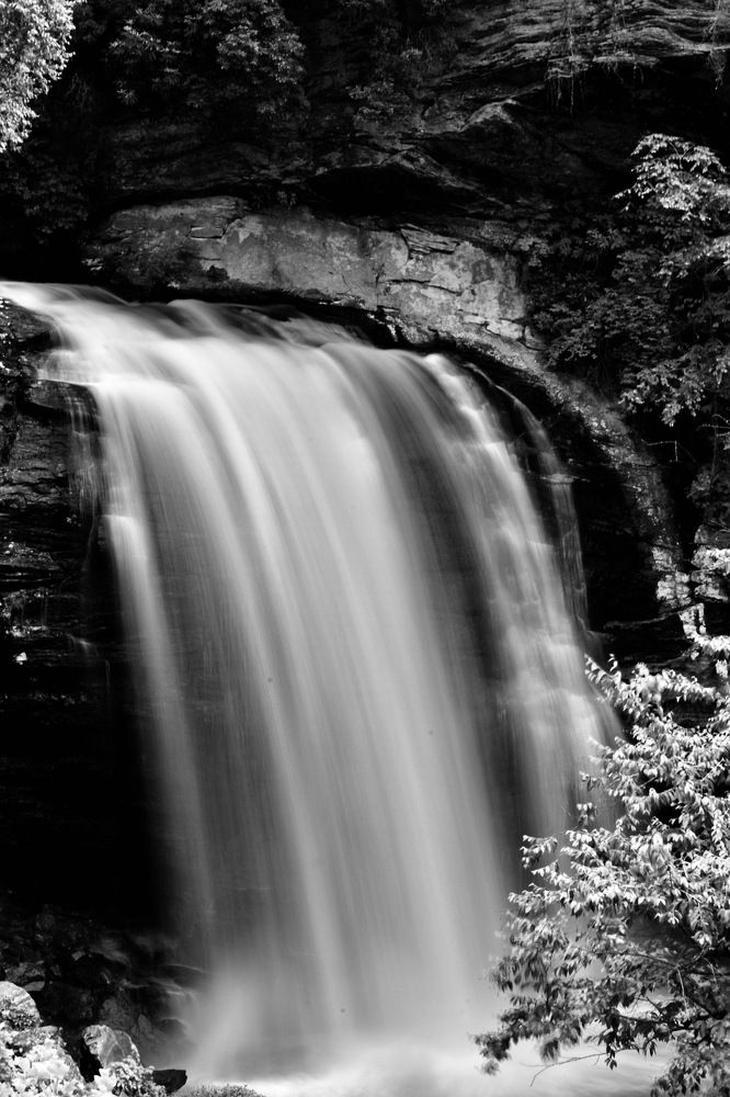 Photograph by Rishay Madan