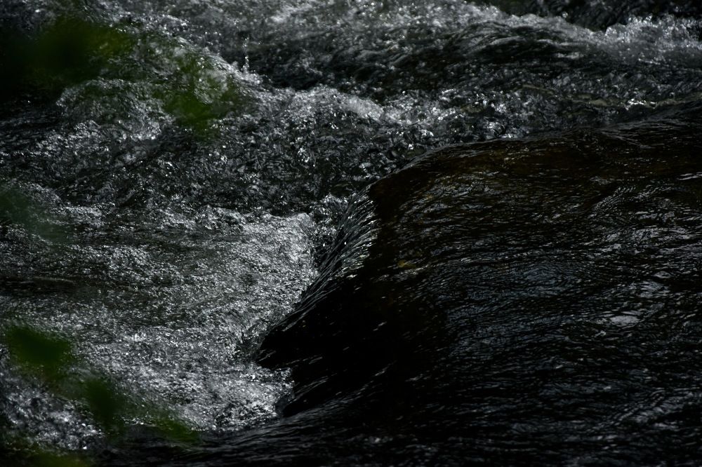 Photograph by Rishay Madan