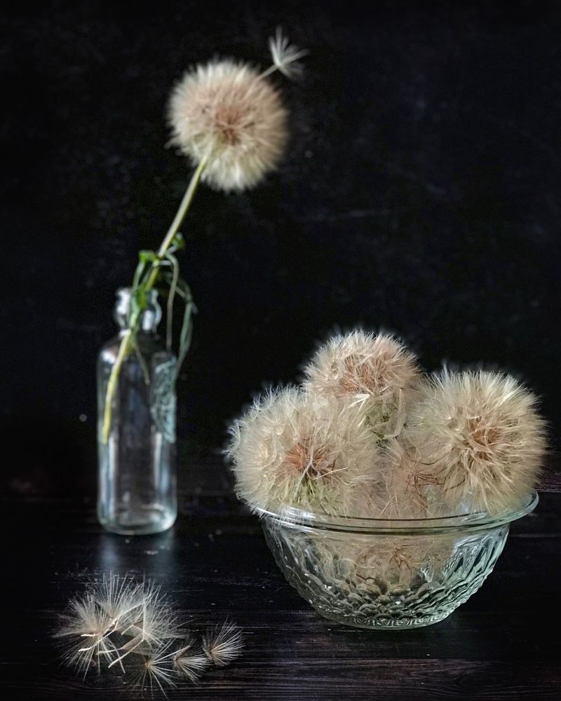 Photograph by Наталья Перерва