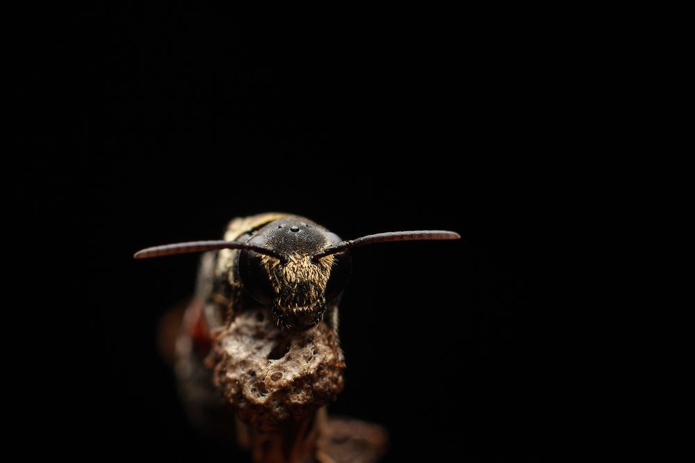 Photograph by Sameera Rathnayaka