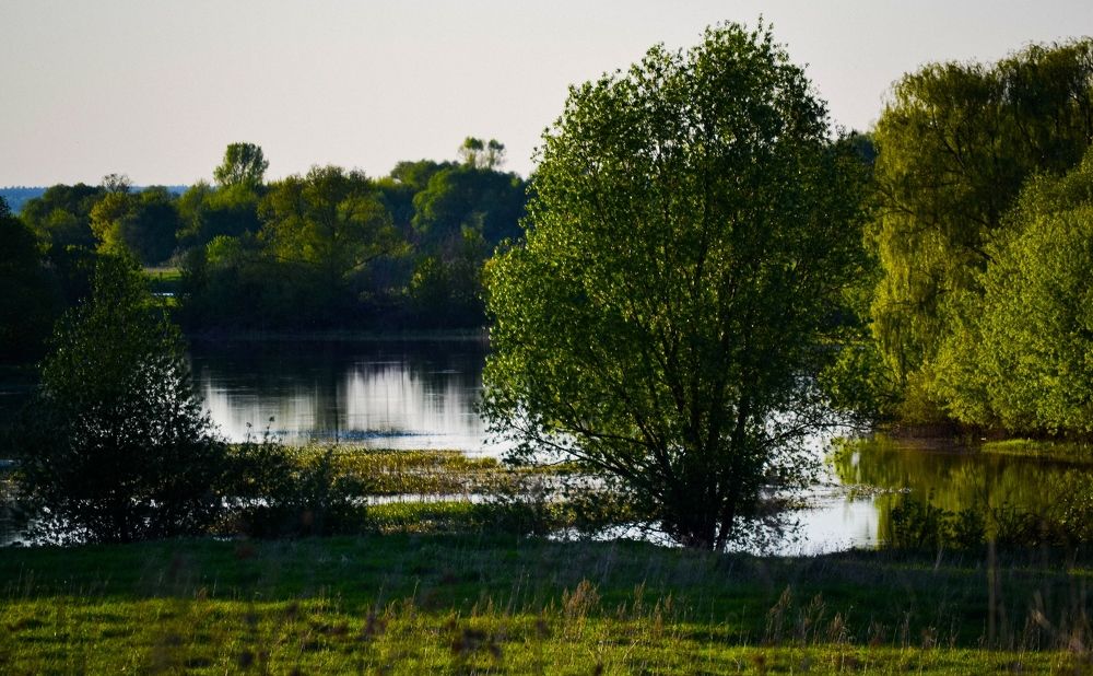 Photograph by Дарья Маркина