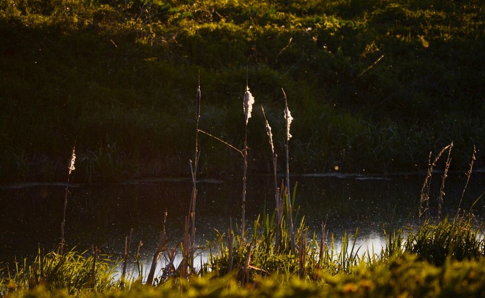 Photograph by Дарья Маркина