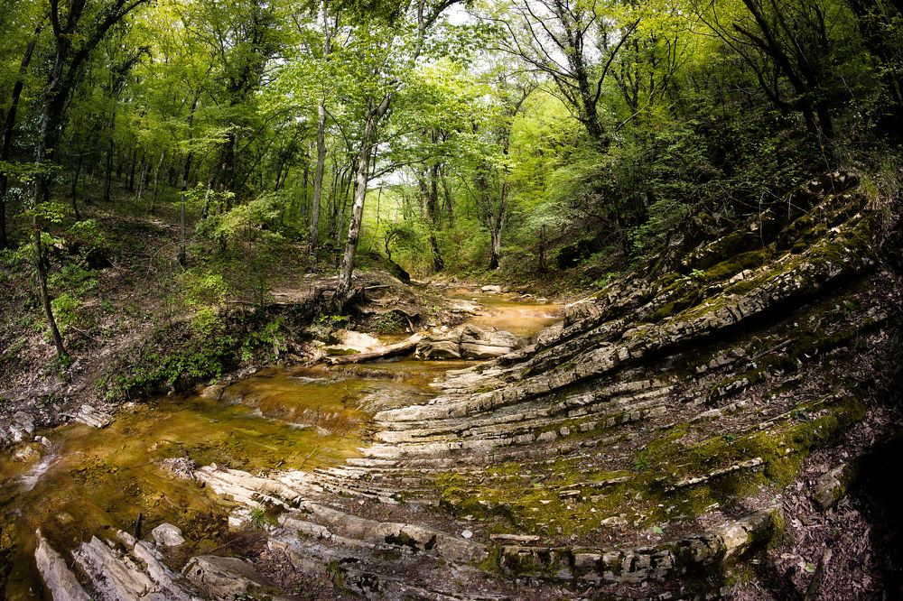 Фотография автора Вадим Коваленко