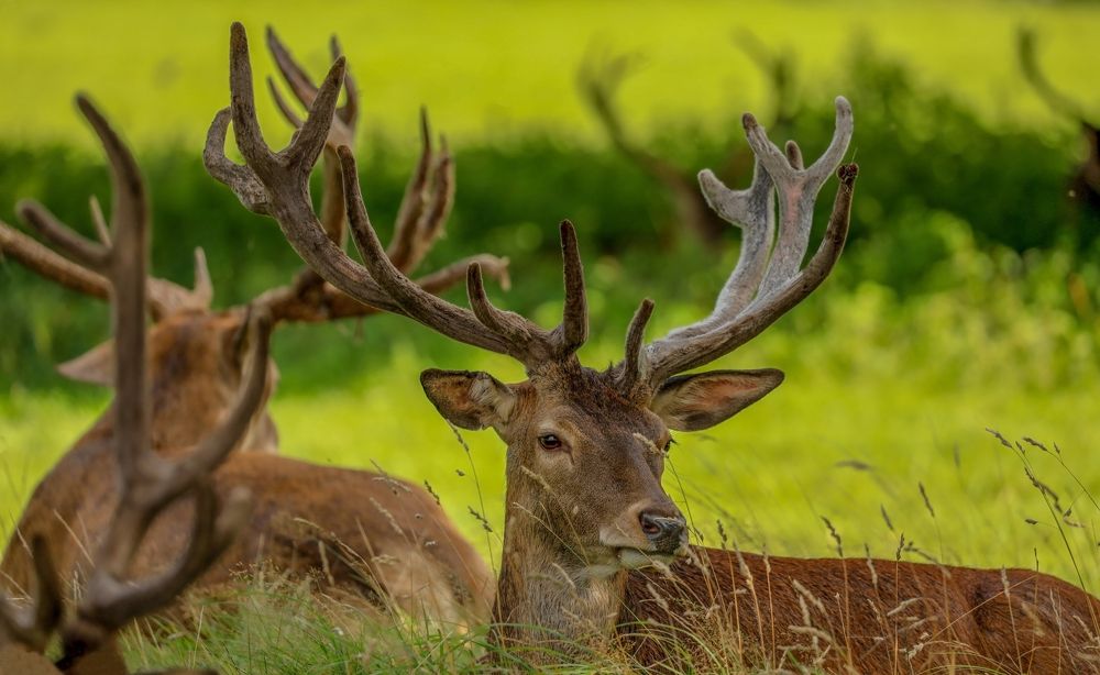 Фотография автора Farrukh Siddiqi