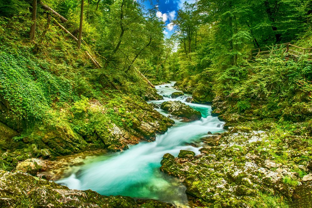 Photograph by Boris Pušnik