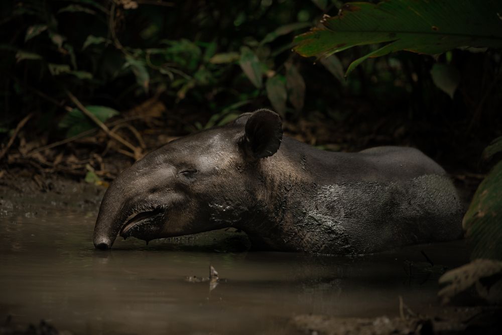 Photograph by Jeremy Vargas