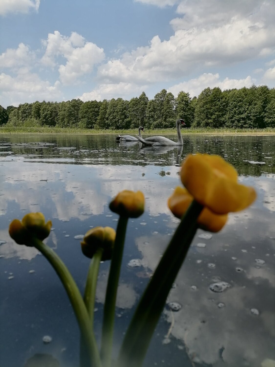 Photo #6252239