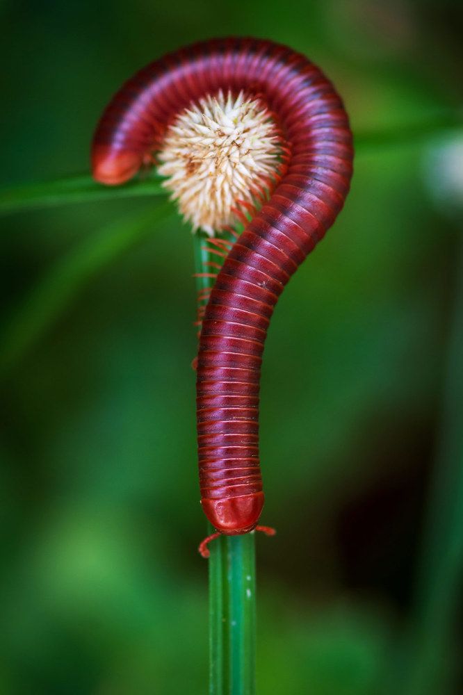 Photograph by Nishanth Neelayi