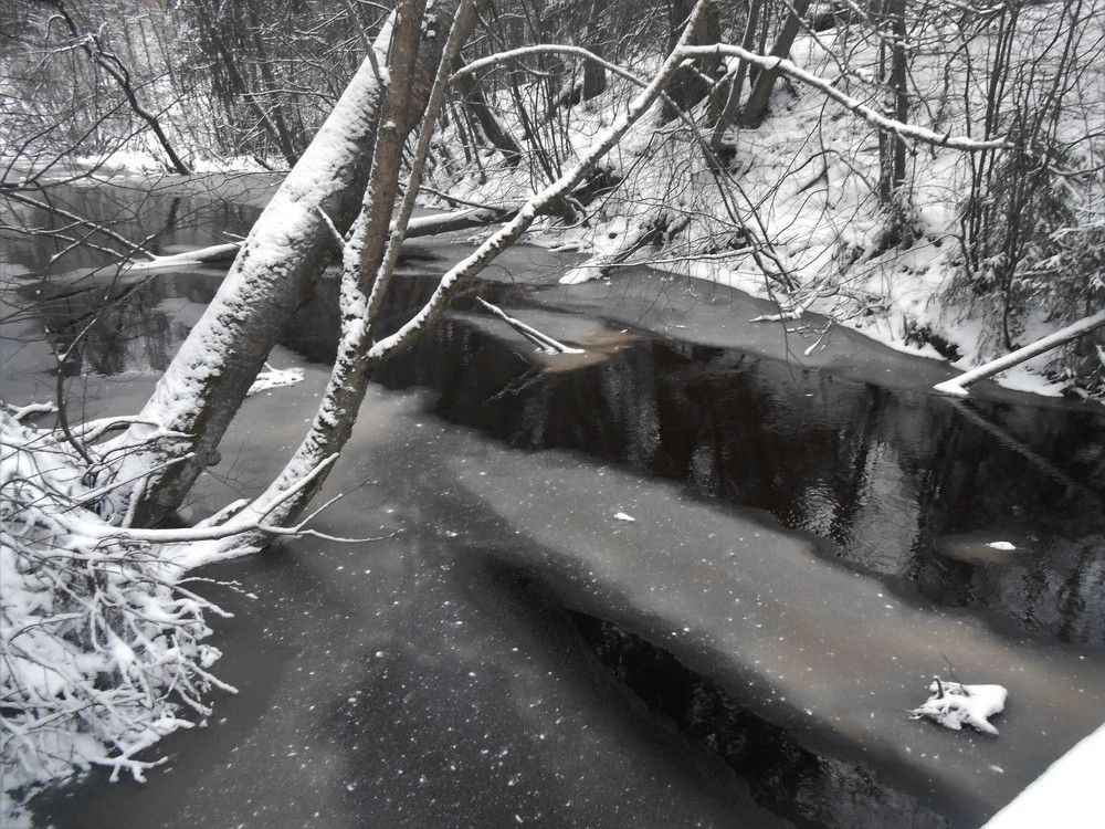 Photograph by Ольга Попова