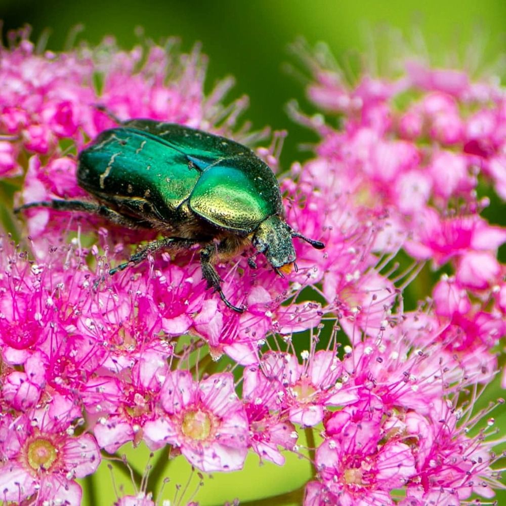 Photograph by Сергей Маркелов
