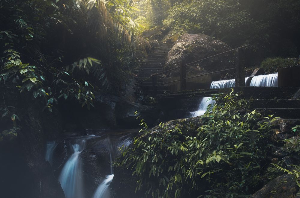 Photograph by CHAYAN CHATTERJEE