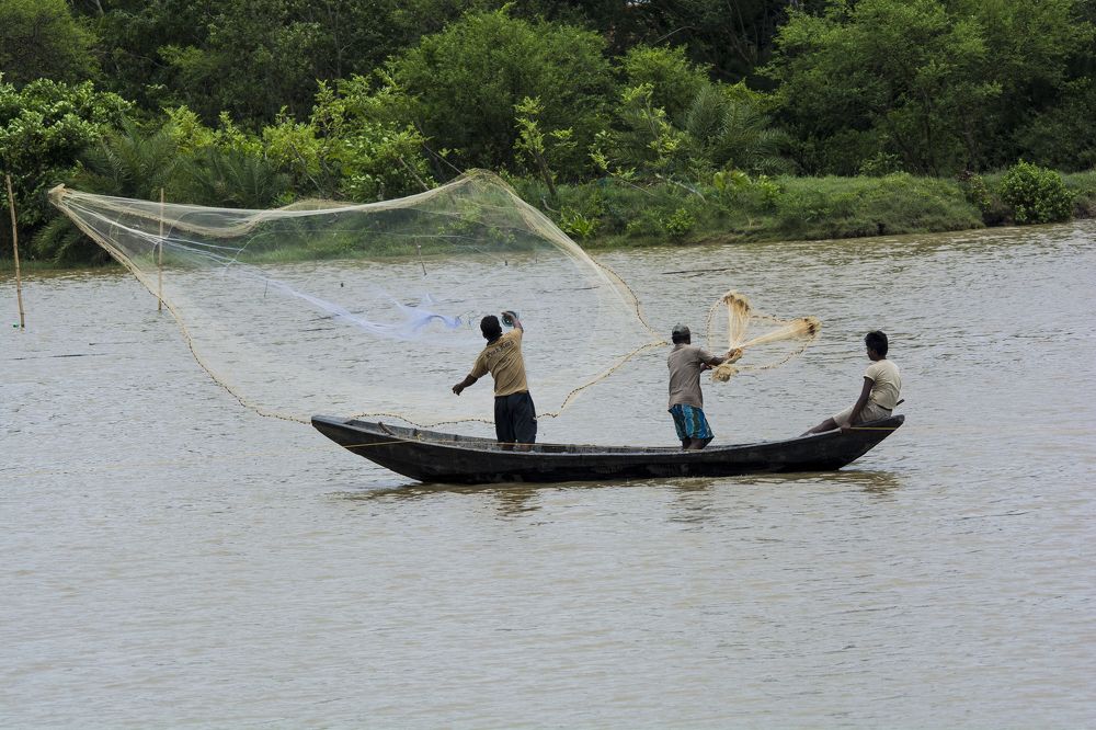 fishing