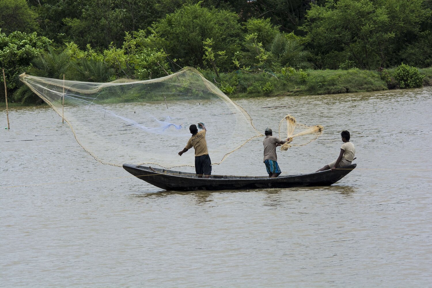 fishing
