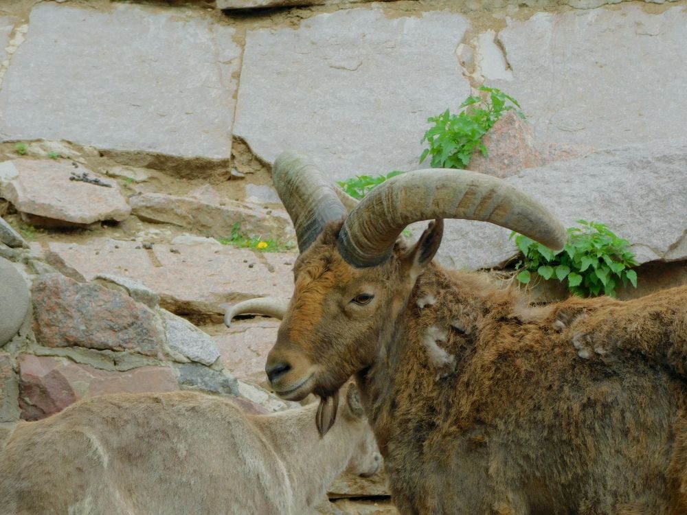 Photograph by Юлия Журавлёва