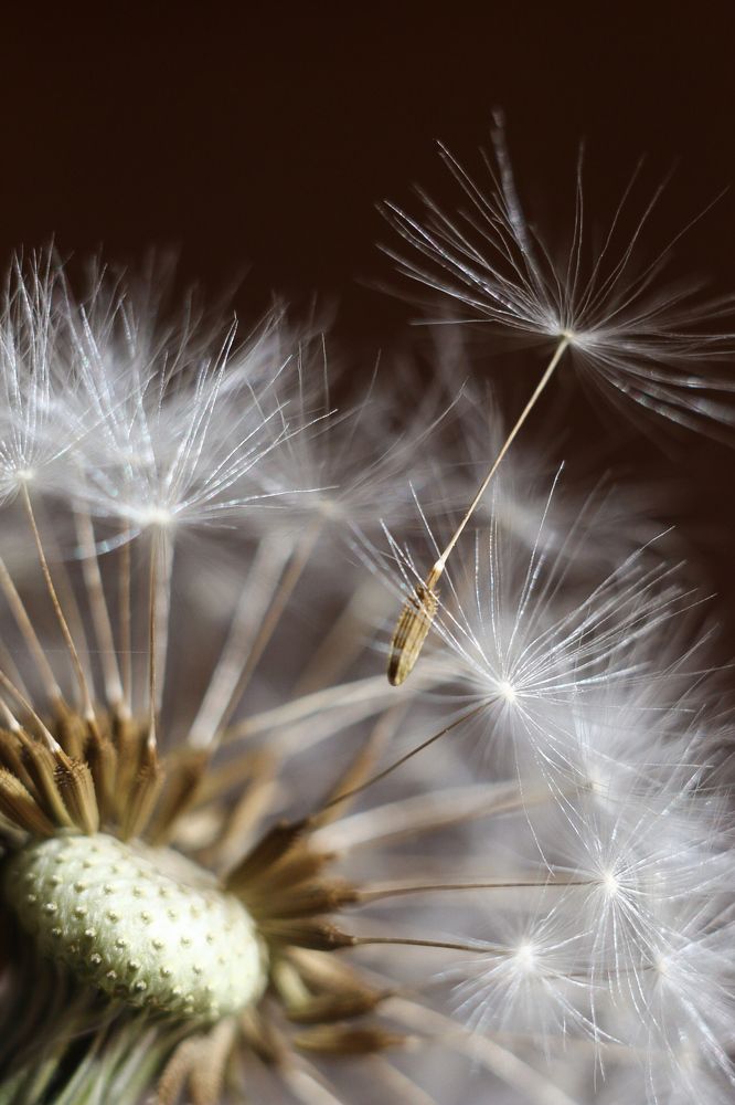 Photograph by Яна Соболева