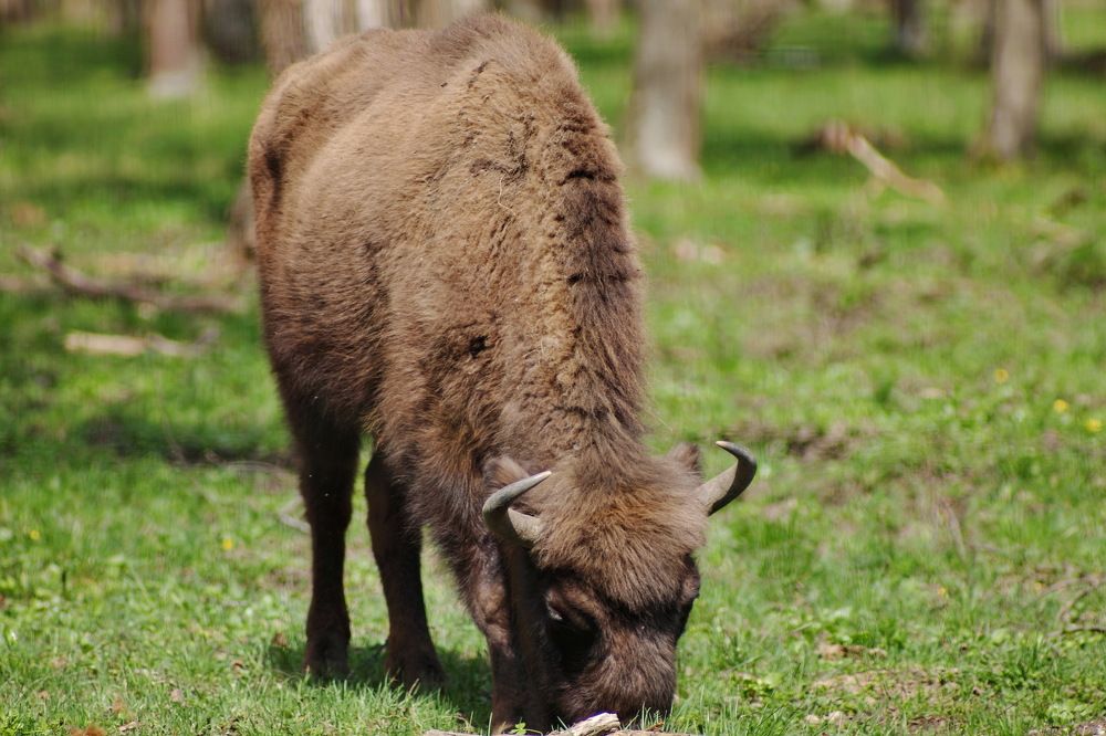 Photograph by Константин Лагоденко
