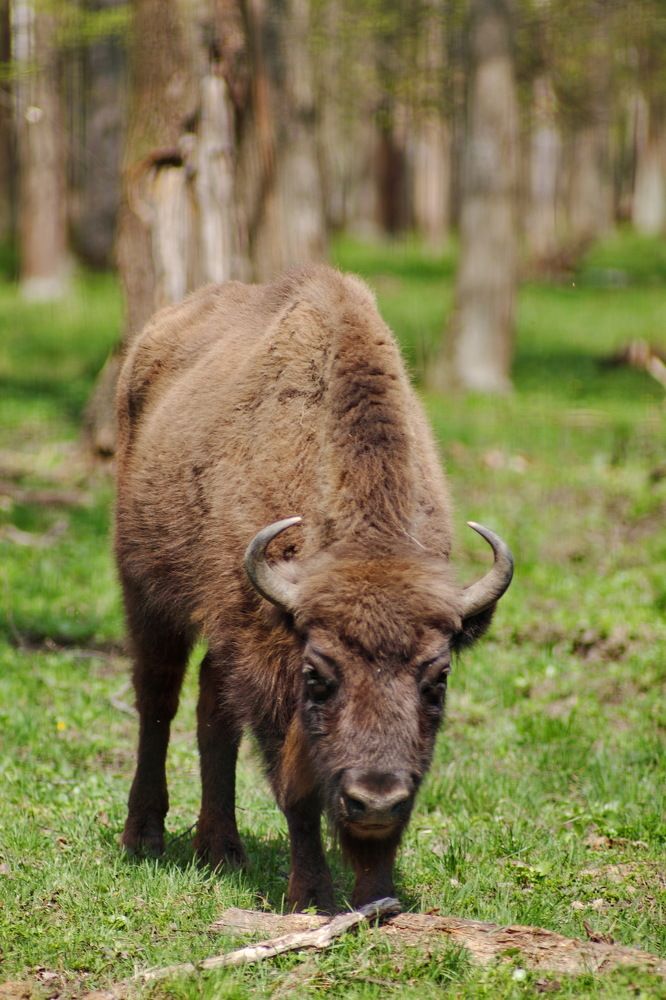 Photograph by Константин Лагоденко