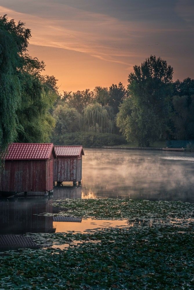 Photograph by Ovidiu Domşa