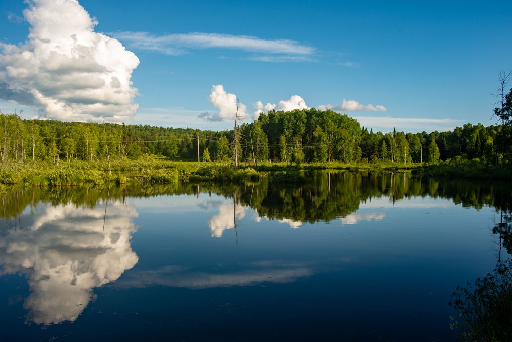 Фотография автора Виталий Гавронский