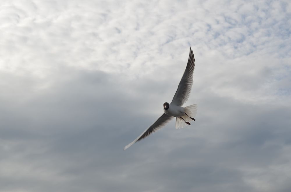 Photograph by Татьяна Иванова - Трускова