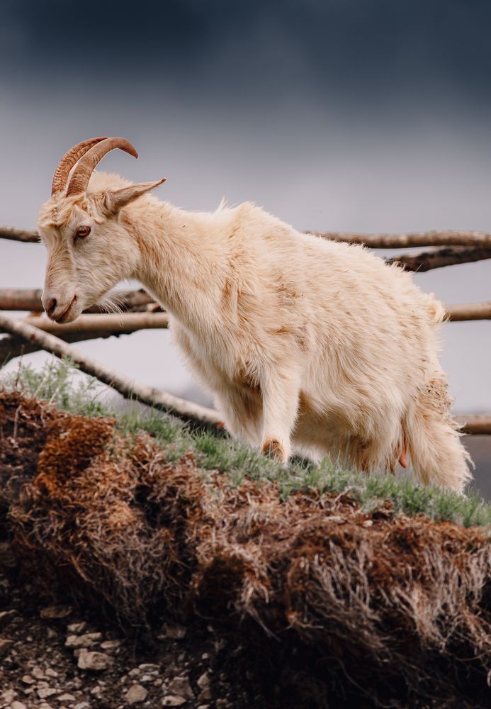 Photograph by Алексей Соколенко