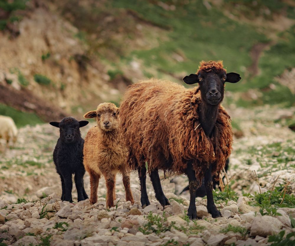 Photograph by Алексей Соколенко