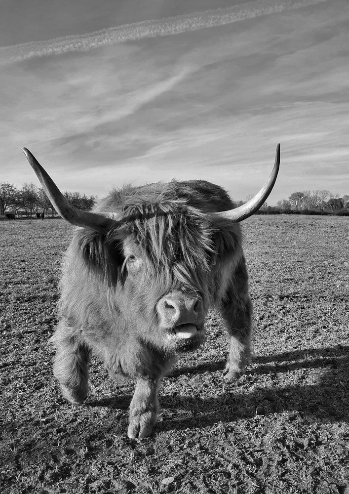 Photograph by Olga Weinberger