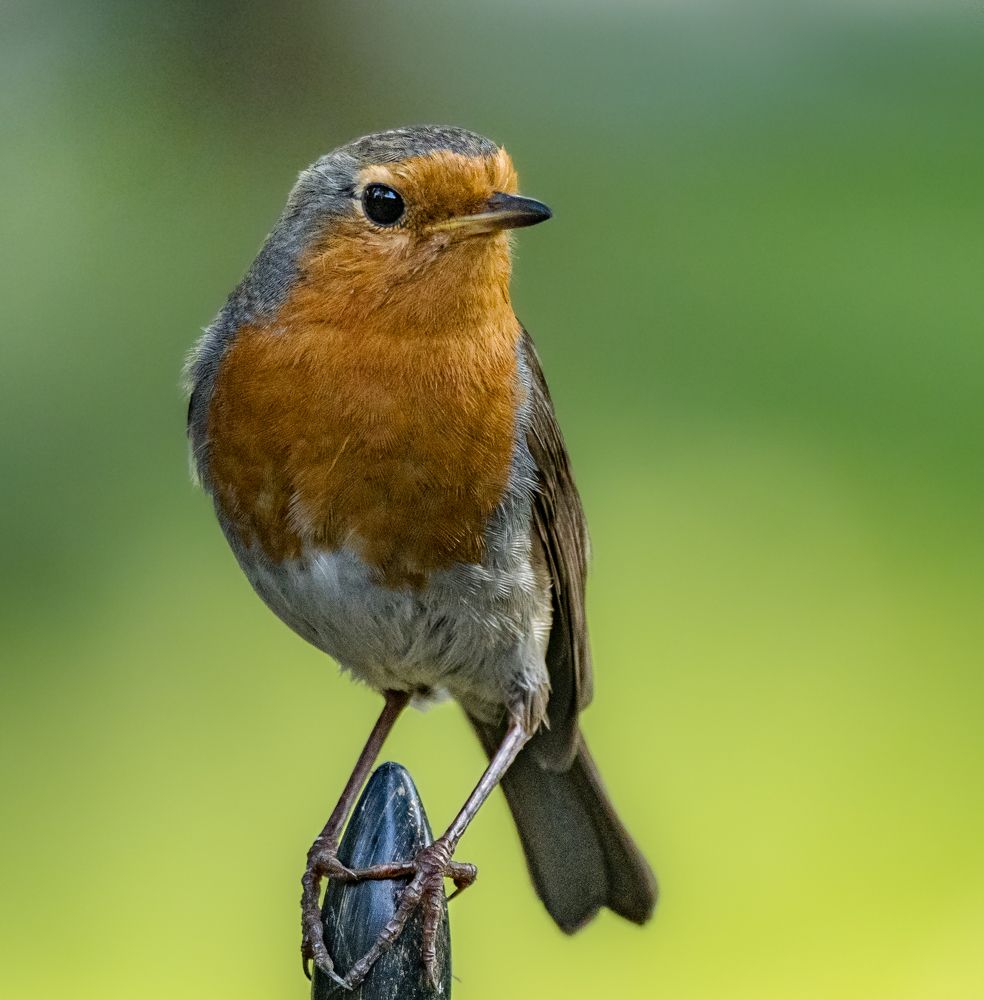 Photograph by Курлянцев Алексей