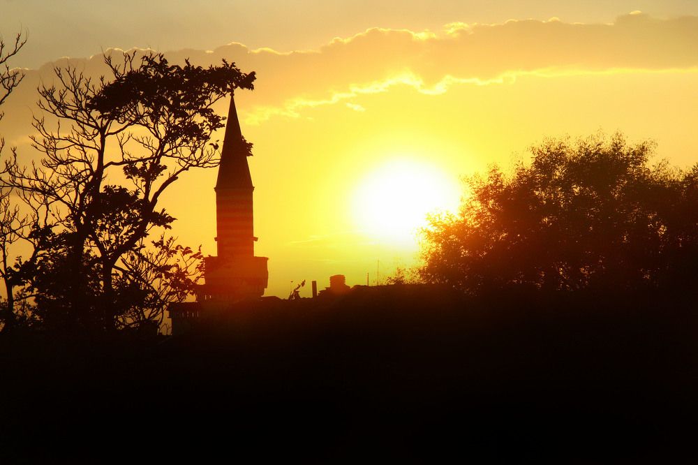 Photograph by Алёна Суслова