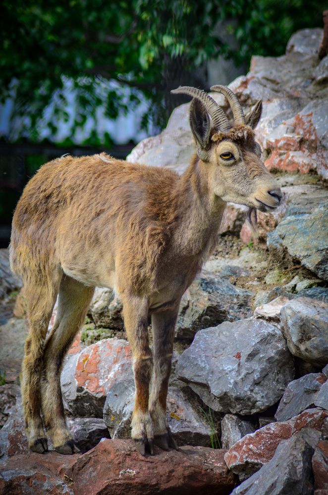 Photograph by Сергей Глухарев