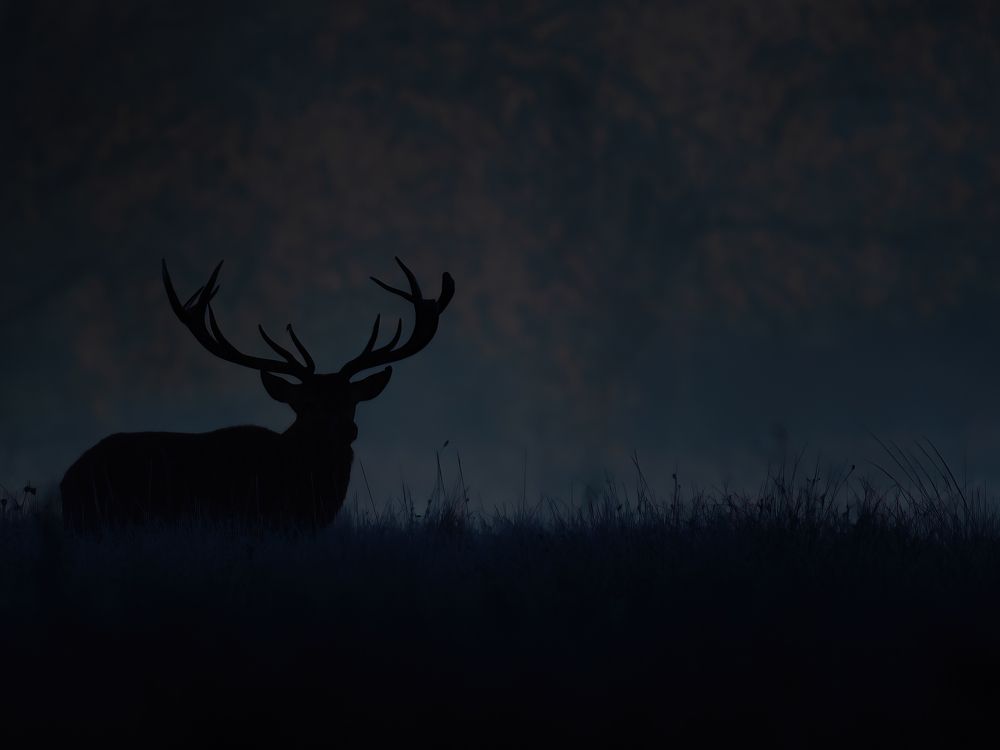 Фотография автора Anandhu M