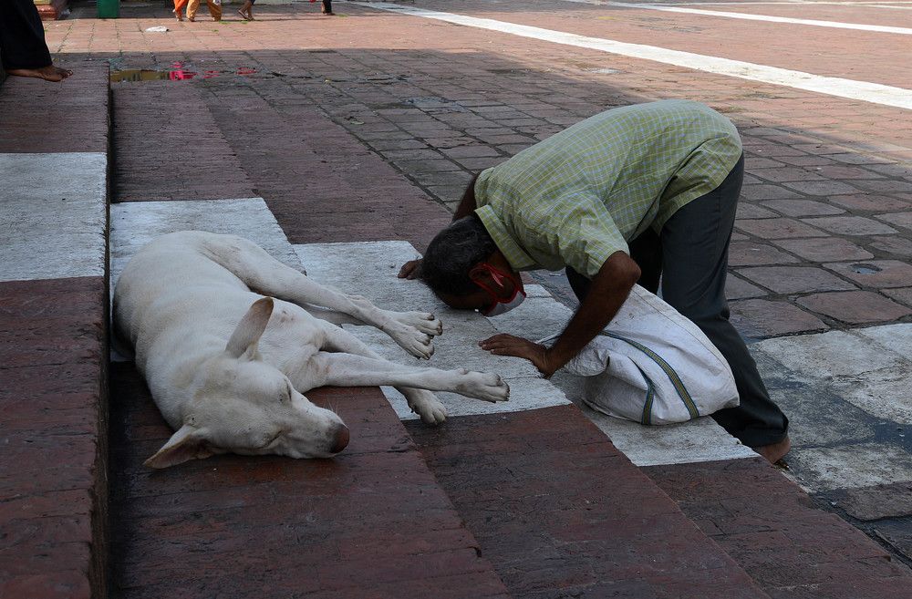 Photograph by Dipankar Majumdar