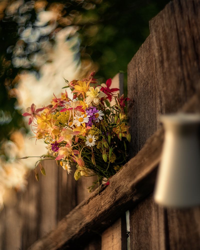 Фотография автора Елена Баклач
