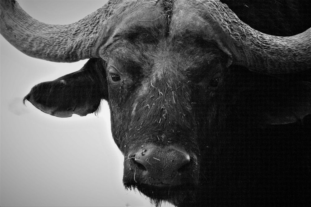 Photograph by Esmaeil Razaghi