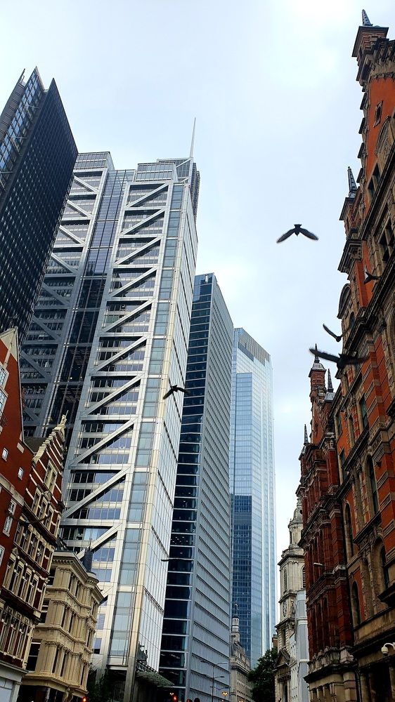 Фотография автора Angun Angusha