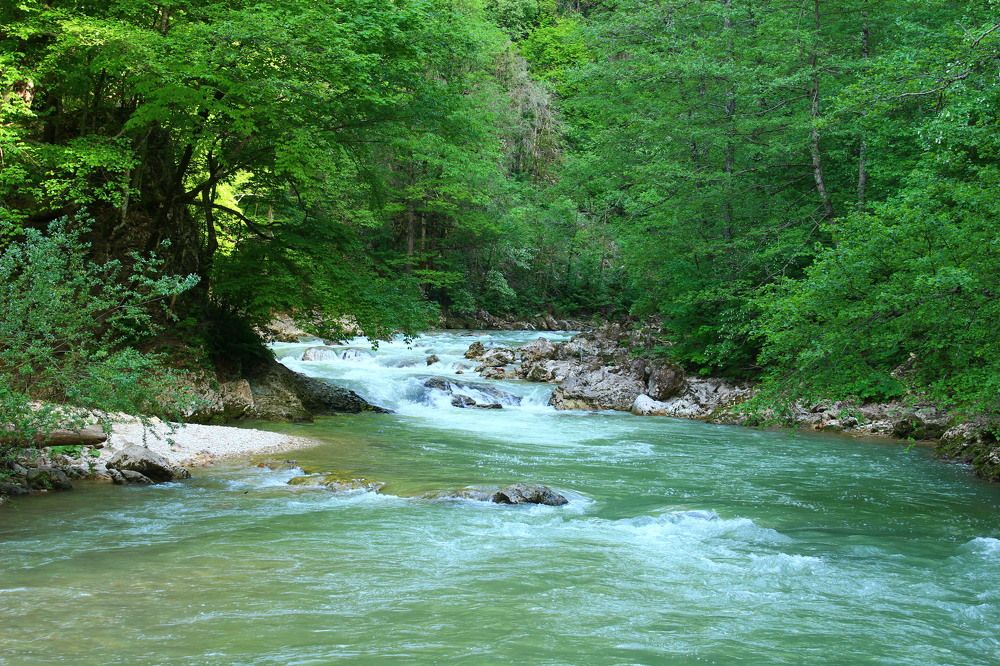 Photograph by Ирина Дмитриенко