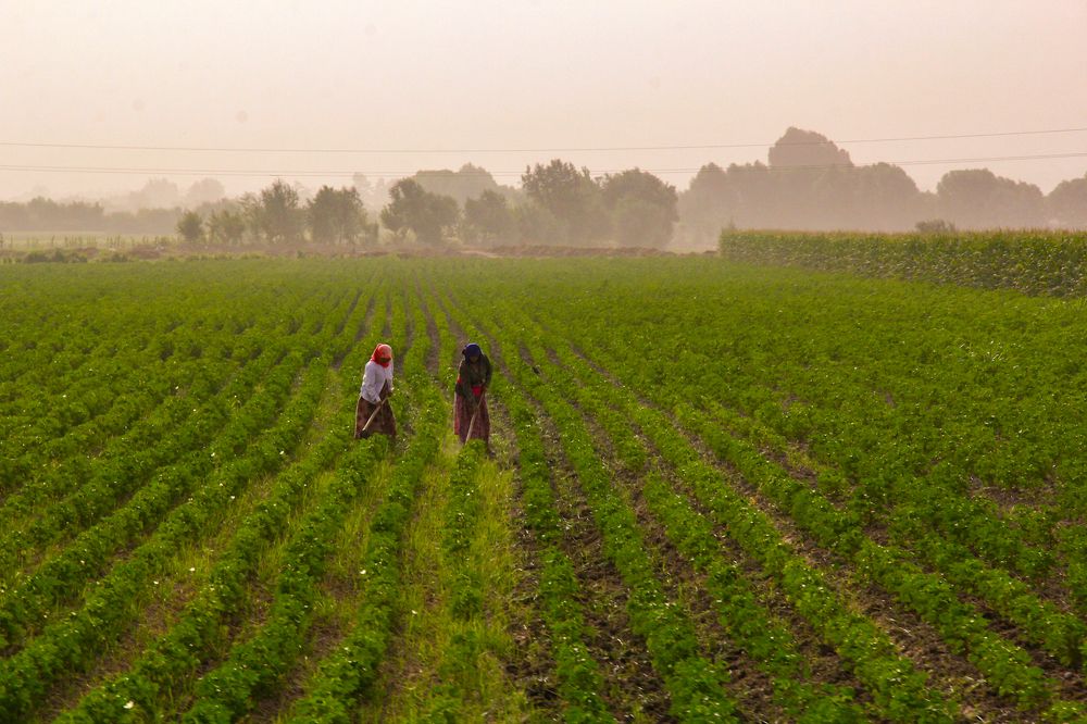 Photograph by Сохибкирон Мирзоев