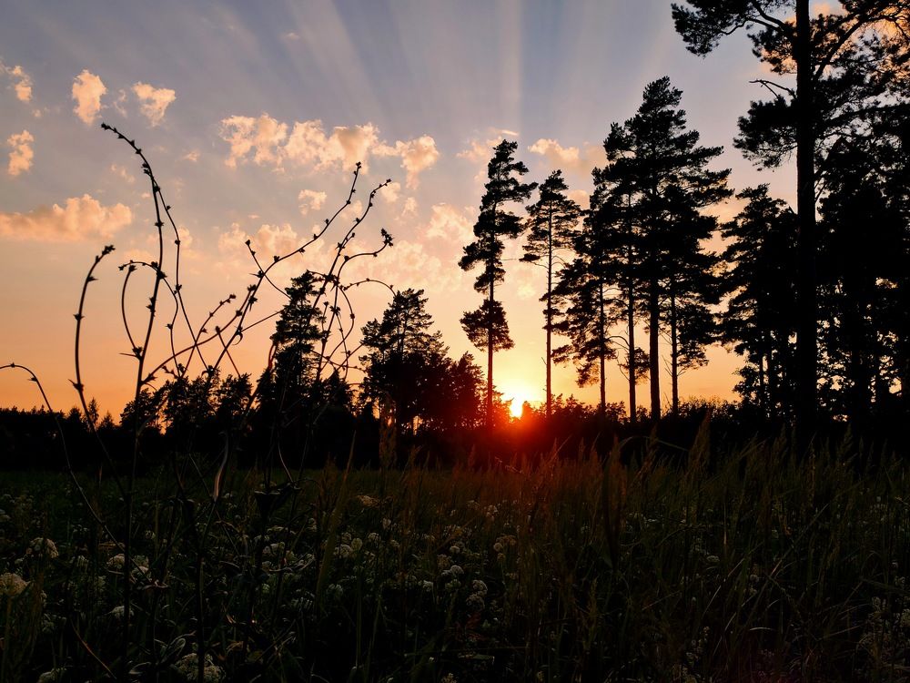 Photograph by Полина Ефимова