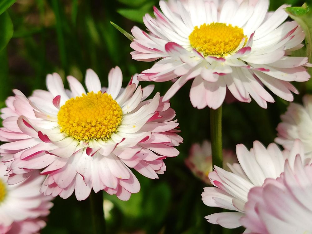 Photograph by Полина Ефимова